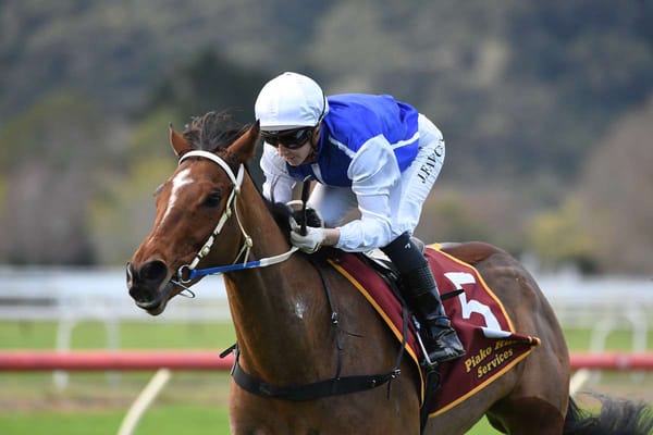 Late bloomer quick to rise to Cup challenge