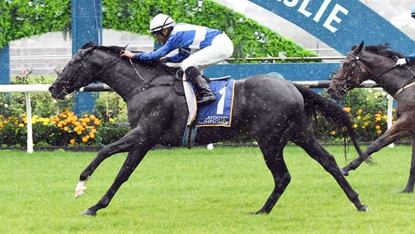 Byerley Park barn hold strong hand heading into spring
