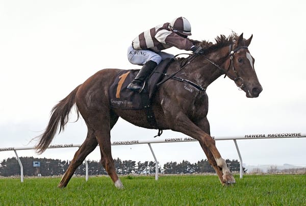 Speedy juvenile leading Sharrock’s trio at Otaki