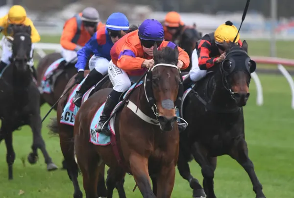 Spencer out to go one better in Opunake Cup