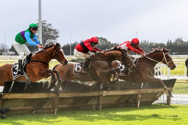 Hastings barn hold strong hand at Pakuranga Hunt meeting