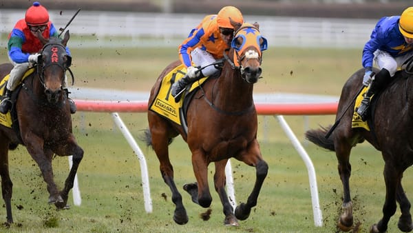 Taupo success sets up Wanganui return for To Bravery Born