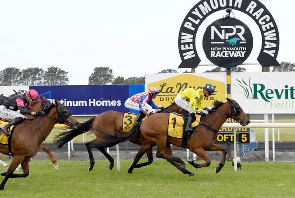 Home track advantage for Urenui in $100,000 feature