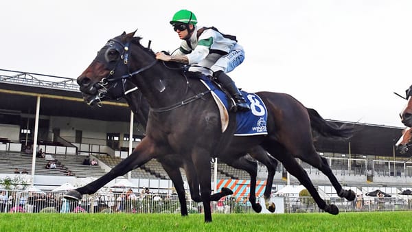 Quality mare on trail of elusive Group One