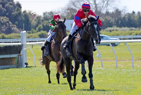 Wanganui stables sweep Hawera jumps races