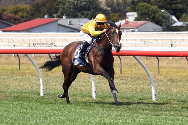 War Princess seeking crowning glory