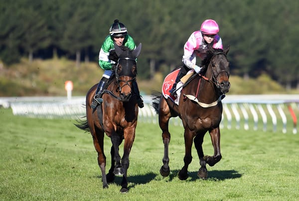 Nickalls heads south with jumping envy