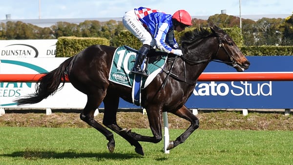 Group One trans-Tasman doubleheader for Kelsos