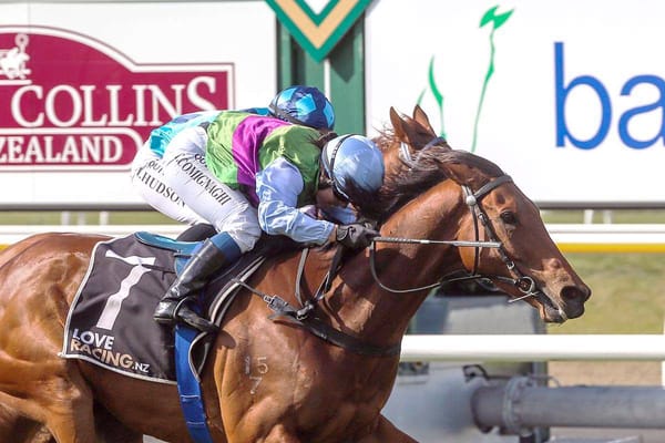 Popular Myers gallopers retired