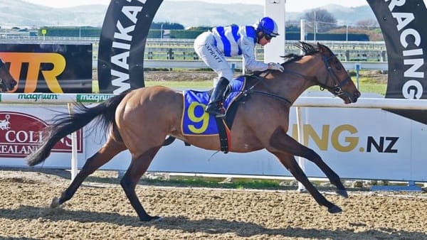 Branciforti overdue a change of luck