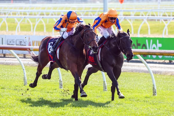 Te Akau fillies continuing burgeoning rivalry