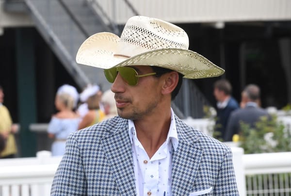 Well-bred gelding set to shine on debut