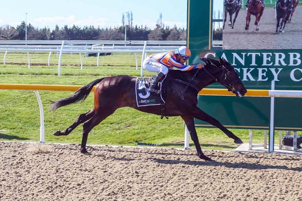 NZ Cup ambitions with Court Of Appeal