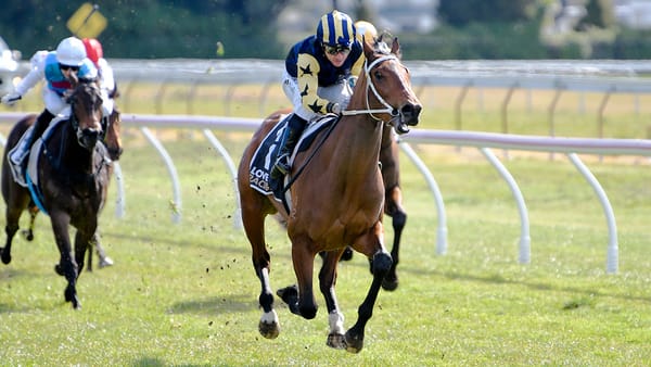 Key Ellerslie assignments for Marsh three-year-olds