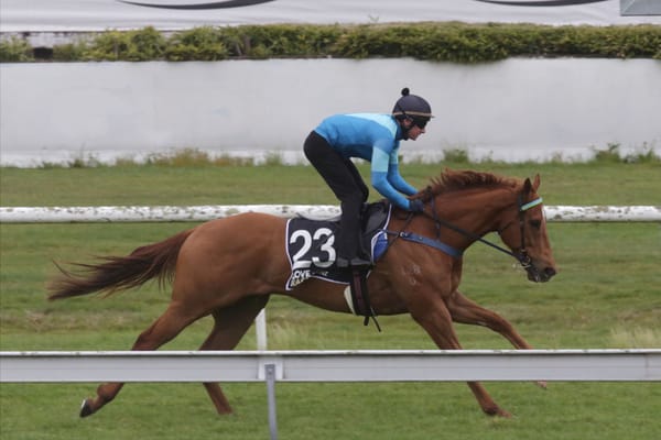 Crocetti pleases in Te Rapa hit-out