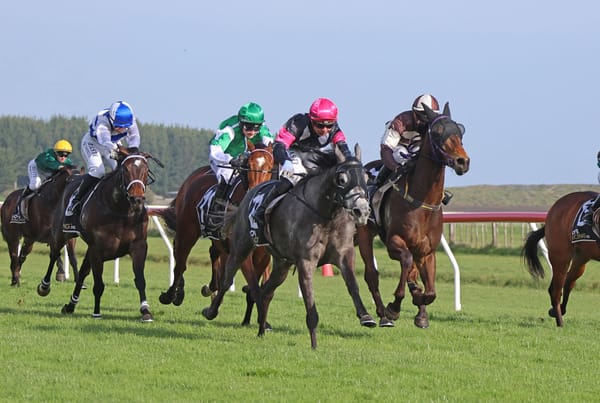 Freebelle fires first-up at Waverley