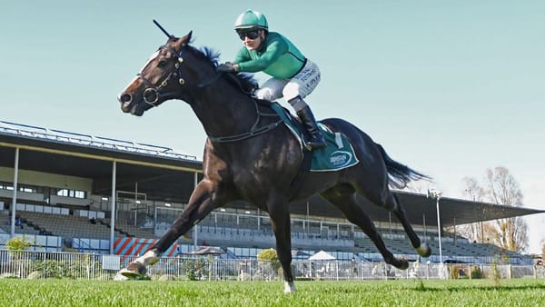 Ellerslie stakes test for Geneva