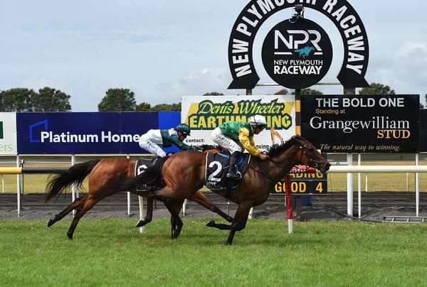 Weather to dictate Forsman plans at Te Rapa