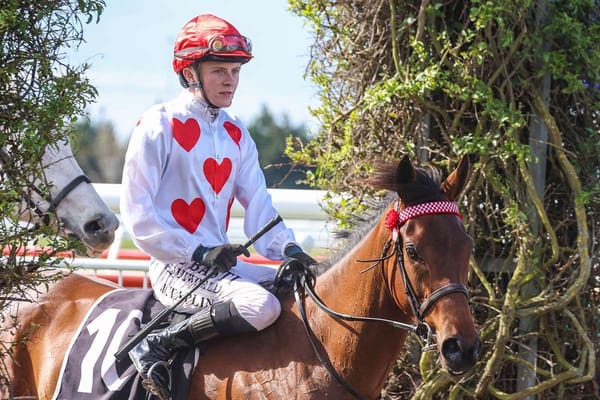 Jockeys discharged from hospital after Riccarton fall