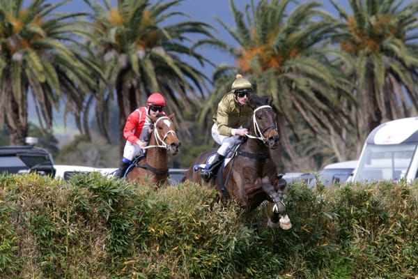 Jesko completes stunning season with Great New Zealand crown