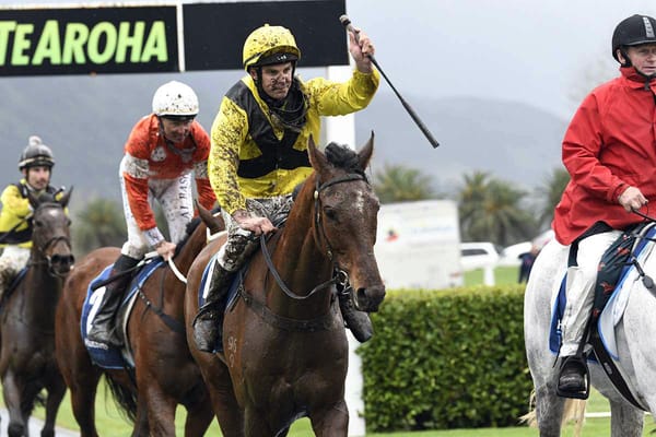 Gillies brings up century of riding wins