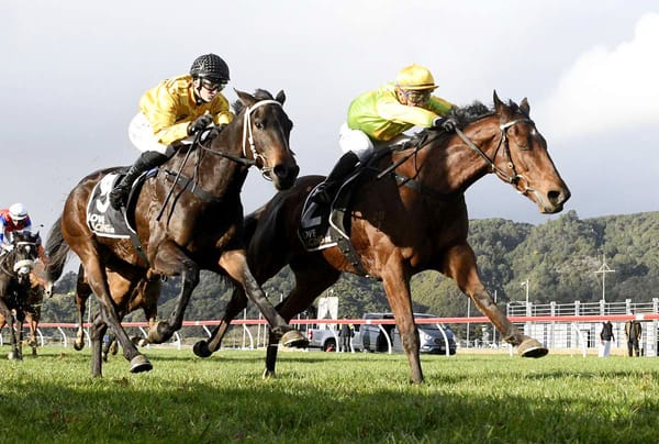 Harrison hoping third time’s a charm with King Khan