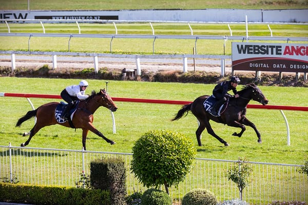 Bumper catalogue for New Zealand Bloodstock Ready To Run Sale