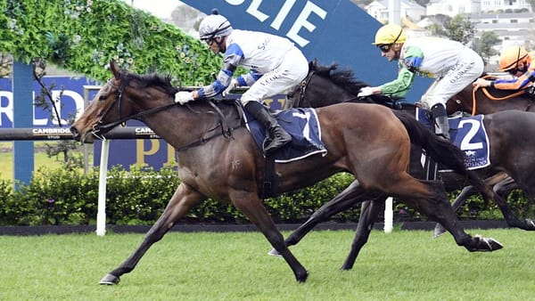 Lollapalooza soars to stunning Gold Trail win