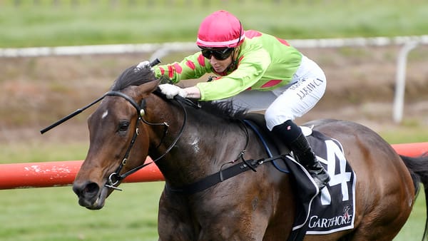 Myakkabelle in search of elusive stakes scalp