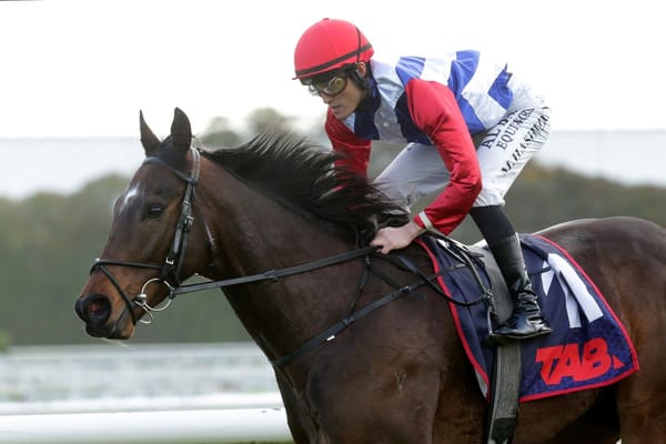 Midnight Edition superb in four-year-old debut