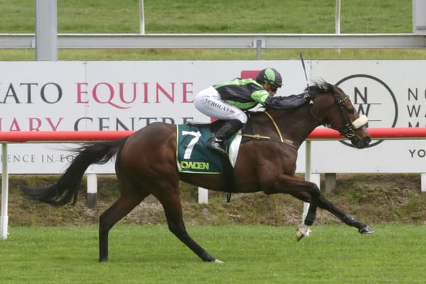 Notabad performance by New Zealand Cup hope