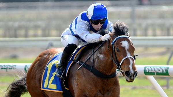 Well-bred filly scores on debut