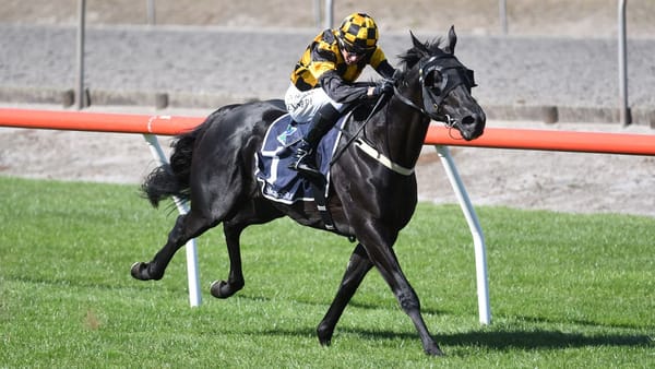 Cambridge Stud welcomes HK opportunity