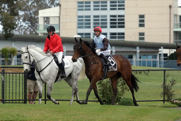 Sadhbh scores popular maiden win