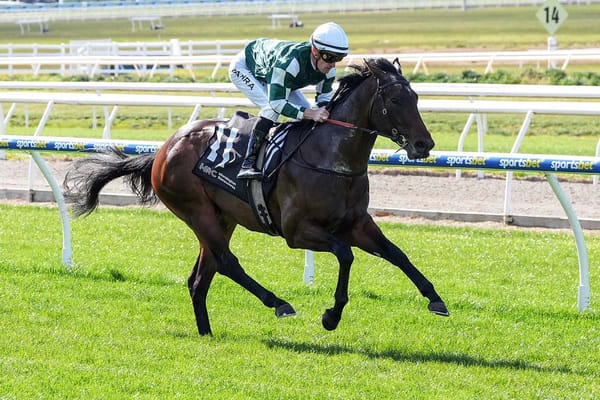 Gelded Street Artist shows true colours