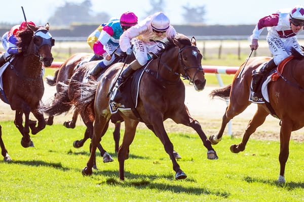 Homebred mare delivers first winner for Tuthill