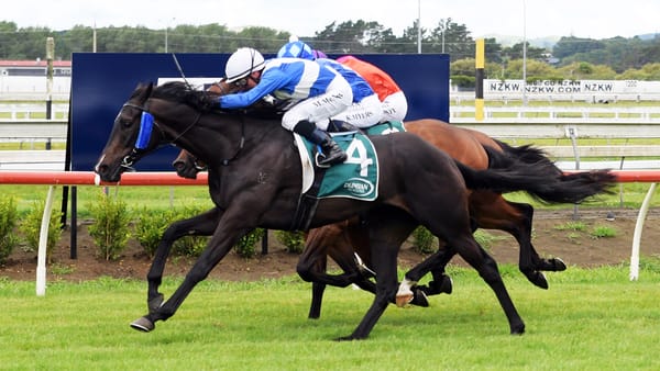 Cooksley has trust in Group Three contender