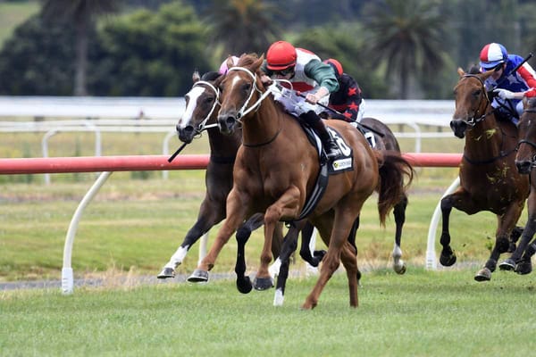 Sad barrier tale finally over for Guineas hope