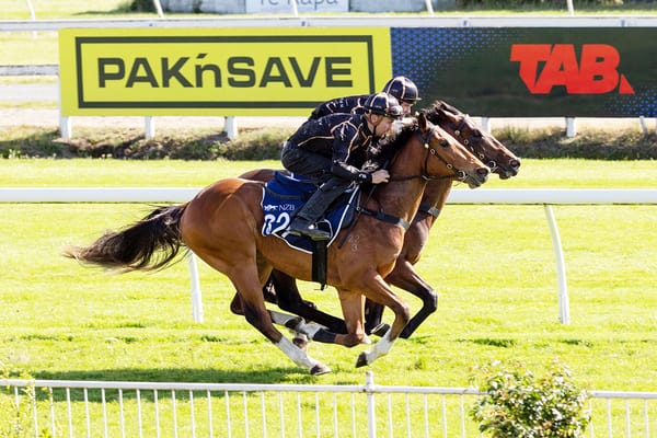 Breeze Up Footage Now Available to View Online