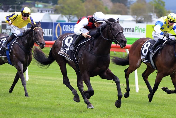 Alexanders eye potential Derby path with exciting debut winner