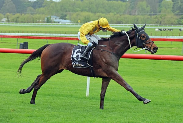 Best yet to come from quirky stayer Danjuro