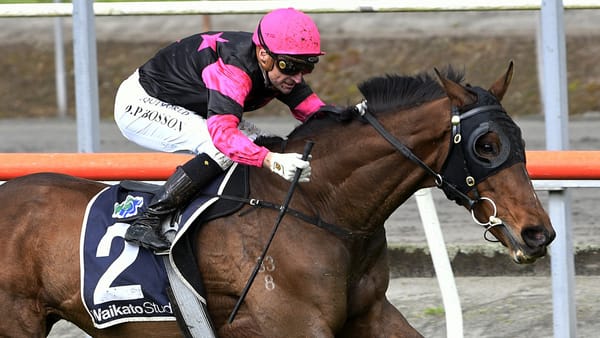 Diamond Jak takes the riches on home turf