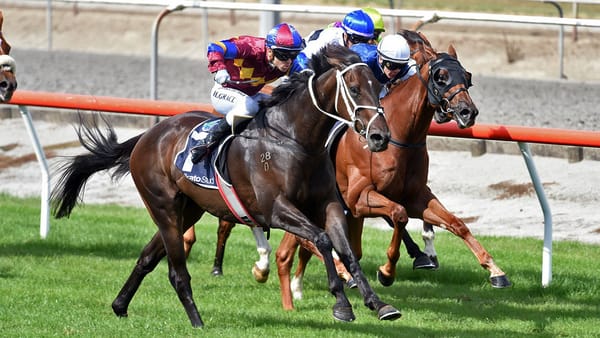 Herbert ready to strike back in class