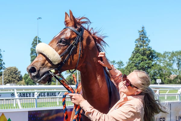 I’m A Dirty Rascal on target for New Zealand Cup