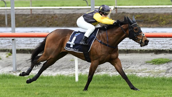 I’munstoppable too quick in Matamata return