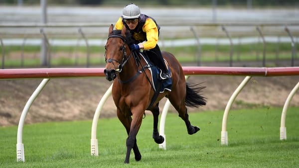 I’munstoppable primed for Legacy Lodge Sprint