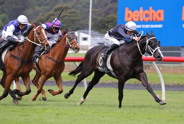 Fresh Ima Brazen One defies chute record