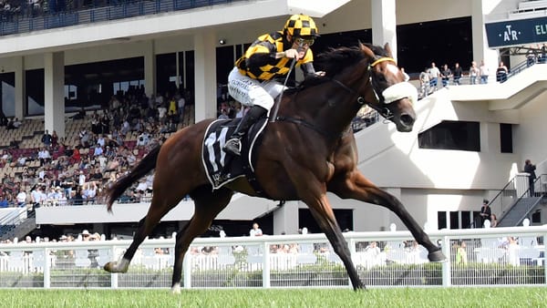 Waiting game with Jaarffi rewarding connections