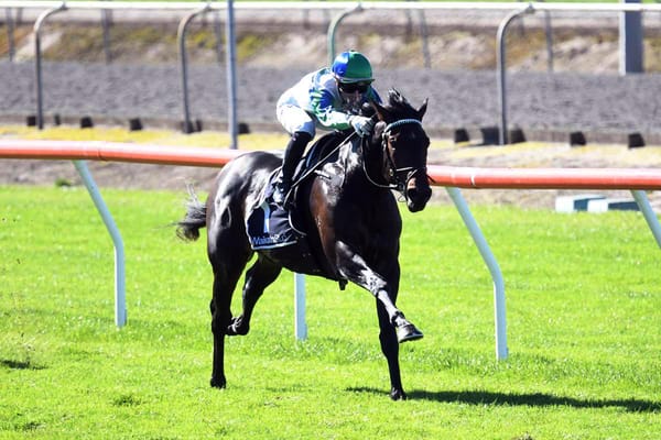 Shailer returns to training ranks