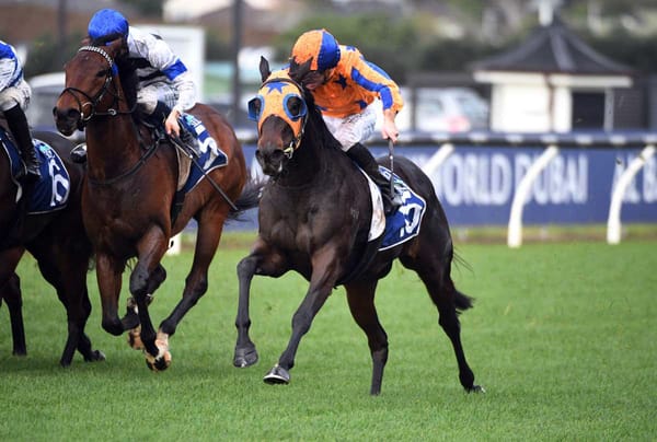 Stable hoping Quintessa can overcome less than ideal build-up